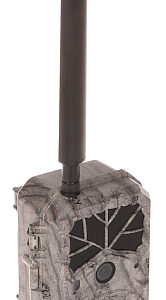 FOTOPUŁAPKA HC-BG636-48M