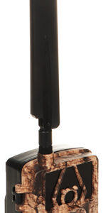 FOTOPUŁAPKA Z KARTĄ SIM HC-PR801GEU